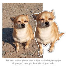 Load image into Gallery viewer, Custom Pet Sticker Pack - Full Body