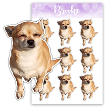 Load image into Gallery viewer, Custom Pet Sticker Pack - Full Body