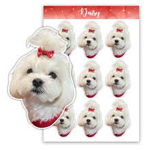 Load image into Gallery viewer, Custom Pet Sticker Pack