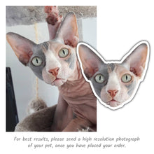 Load image into Gallery viewer, Custom Pet Sticker Pack - Gothic Diamond