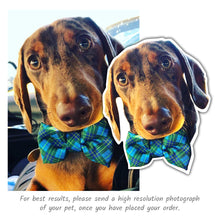 Load image into Gallery viewer, Custom Pet Sticker Pack - Tartan