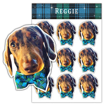 Load image into Gallery viewer, Custom Pet Sticker Pack - Tartan