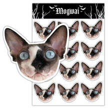 Load image into Gallery viewer, Custom Pet Sticker Pack - Gothic
